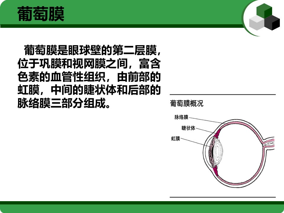 葡萄膜炎护理查房