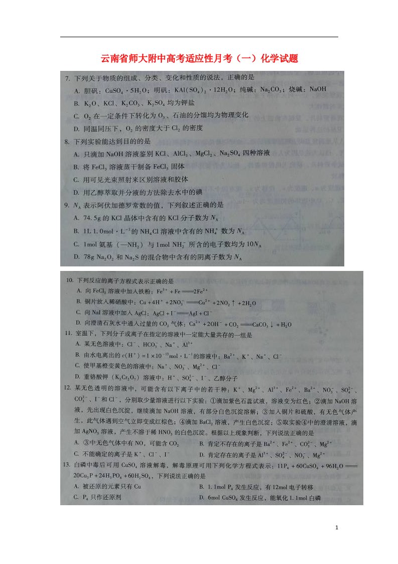 云南省师大附中高三化学适应性月考（一）试题（扫描版，无答案）新人教版