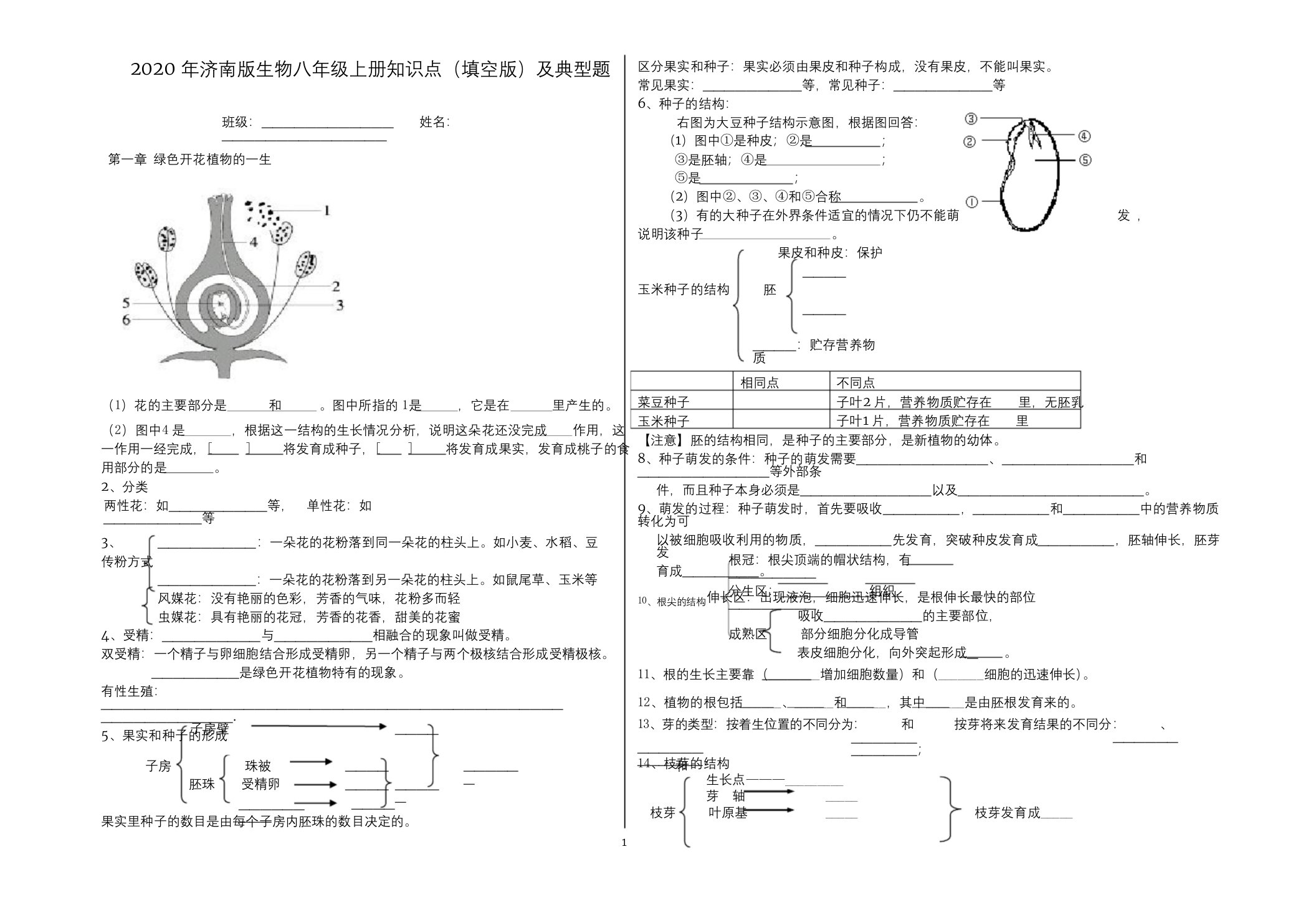 2020年济南版生物八年级上册知识点(填空版)及典型题