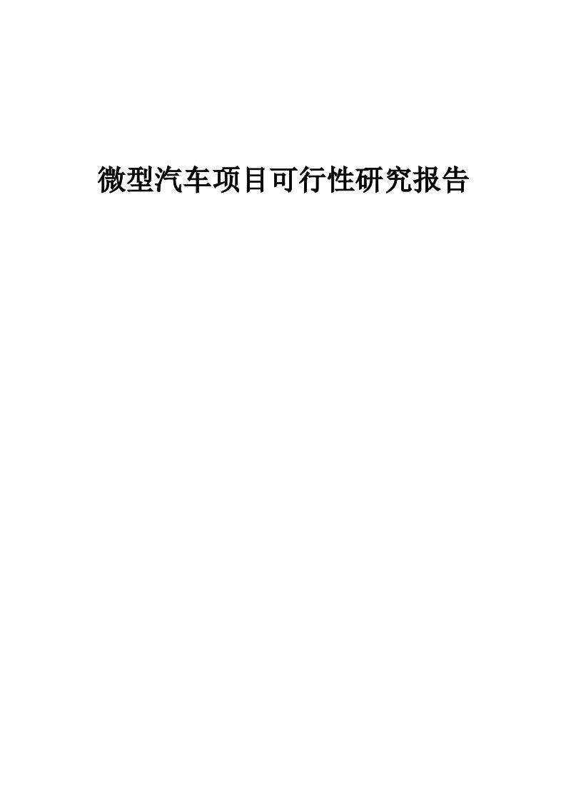 微型汽车项目可行性研究报告