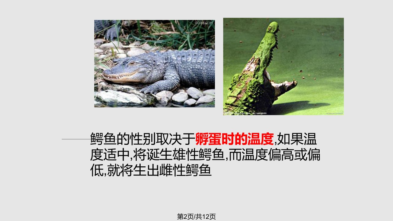 试讲生物学习