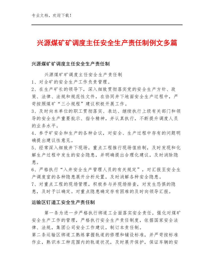 兴源煤矿矿调度主任安全生产责任制例文多篇