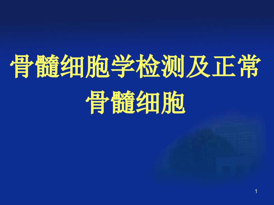 (医学文档)正常骨髓PPT演示课件