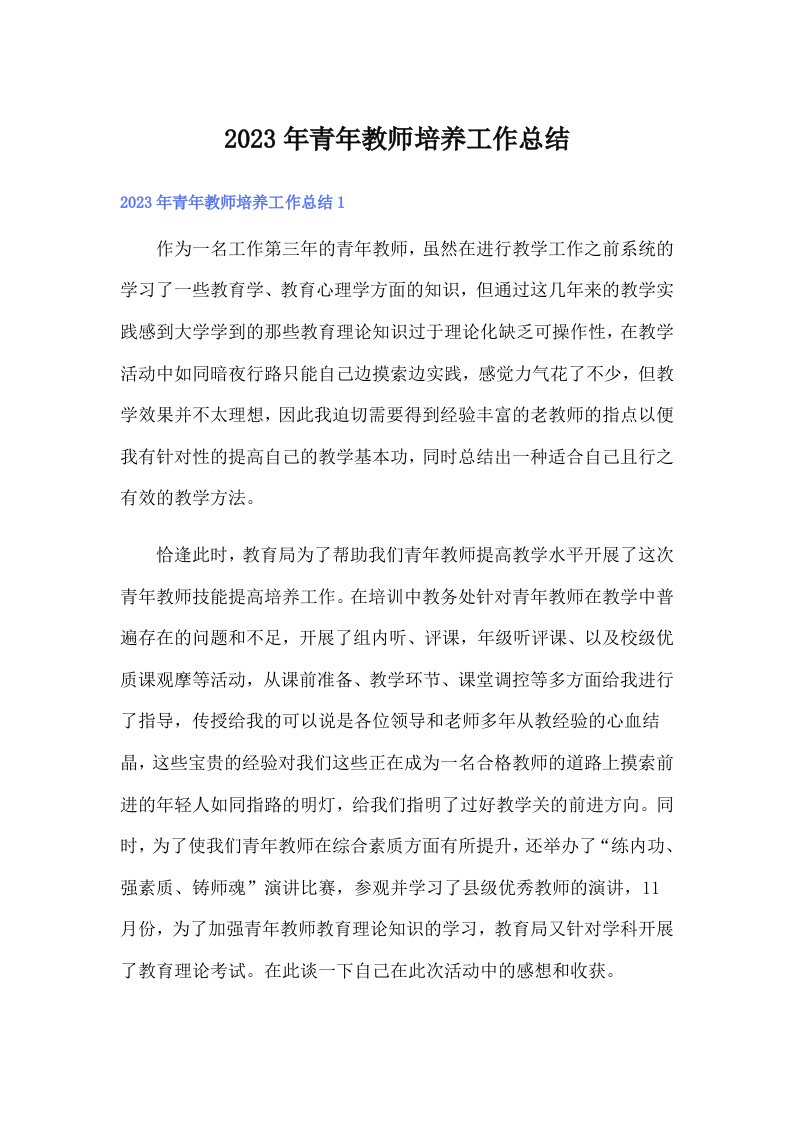 2023年青年教师培养工作总结