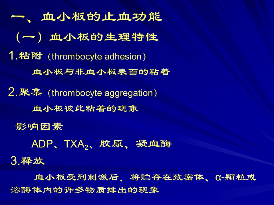 一血小板的止血功能--精品PPT课件