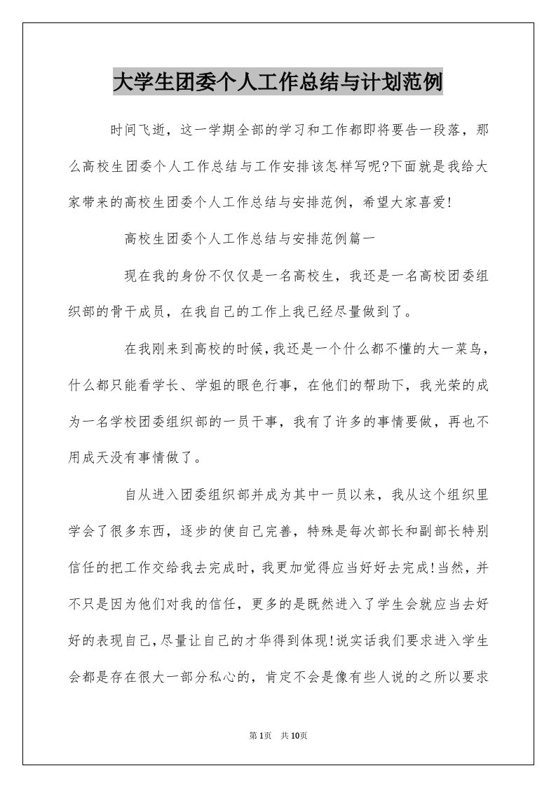 大学生团委个人工作总结与计划范例