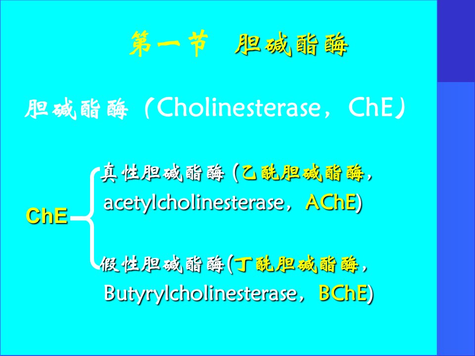 抗胆碱酯酶药和胆碱酯酶复活药胡长平