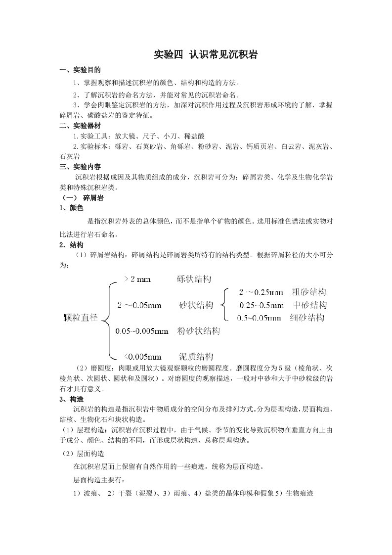 实验四(学生)认识常见的沉积岩