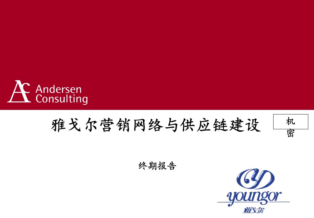 推荐-安盛雅戈尔营销网络与供应链建设咨询报告