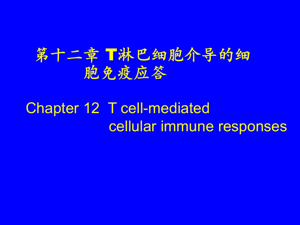 淋巴细胞介导的细胞免疫应答