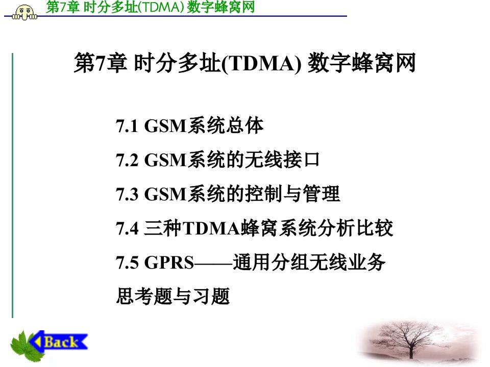 时分多址(TDMA)数字蜂窝网