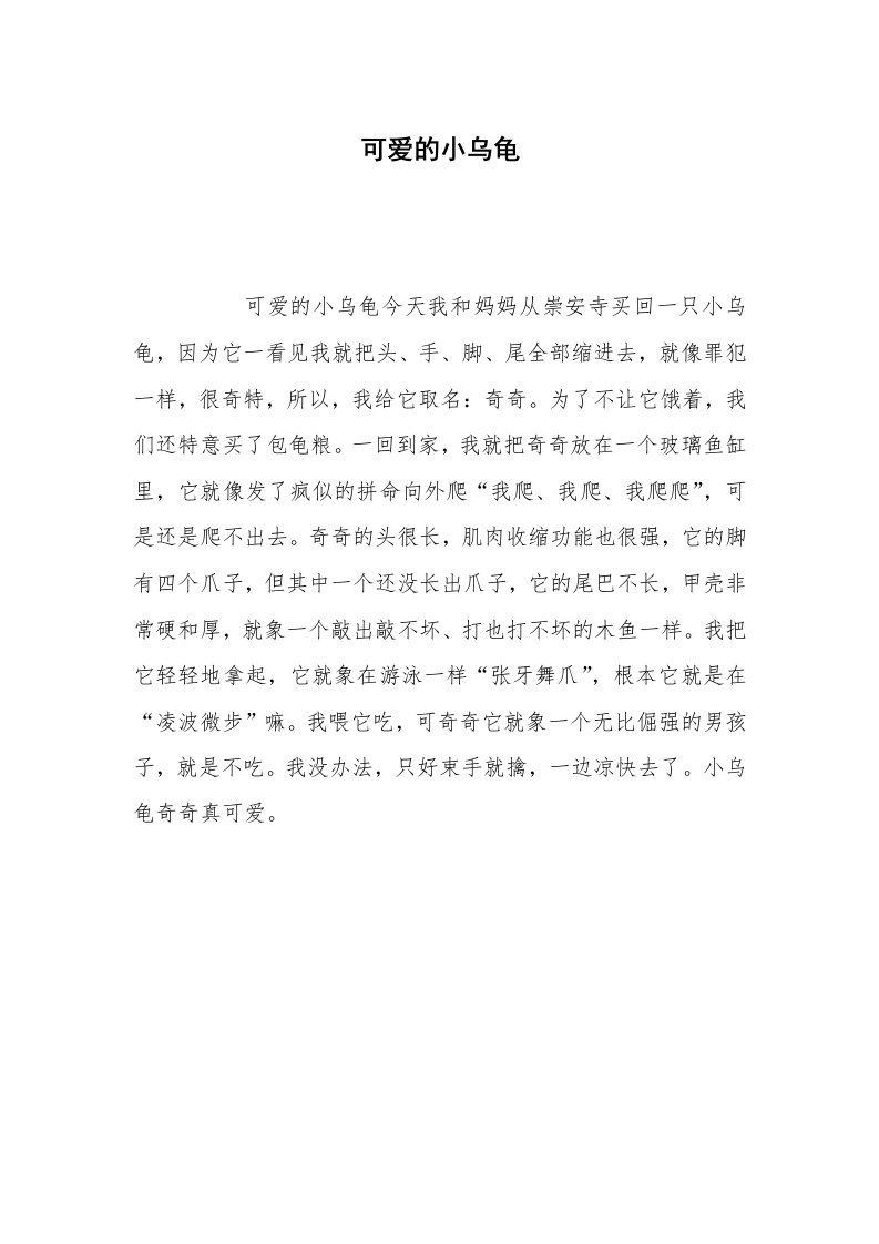 可爱的小乌龟_10