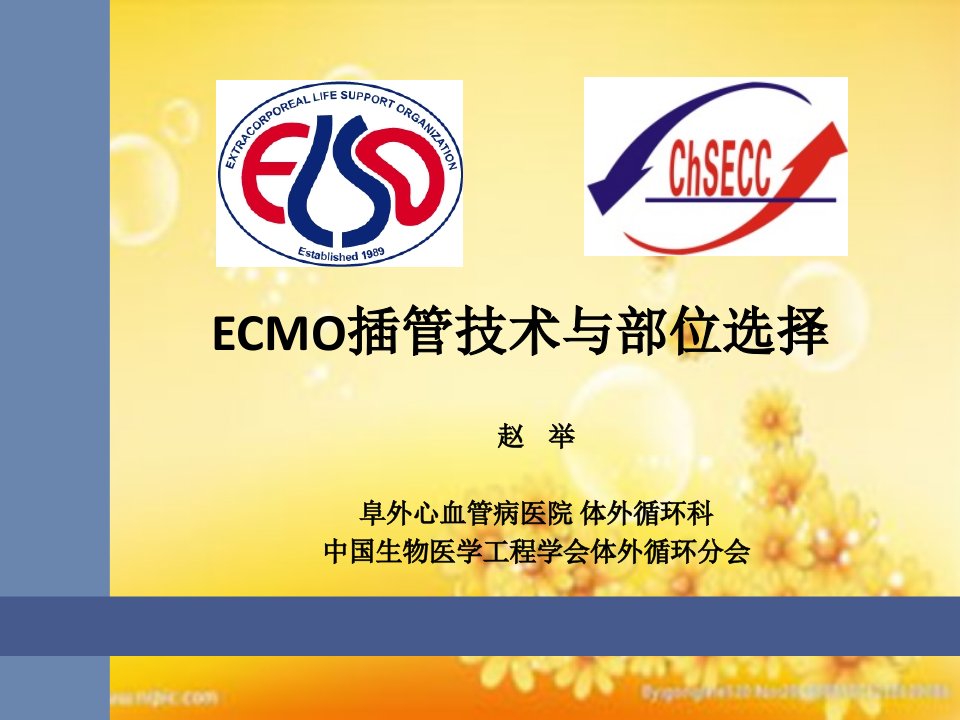 ECMO插管技术与部位选择ppt