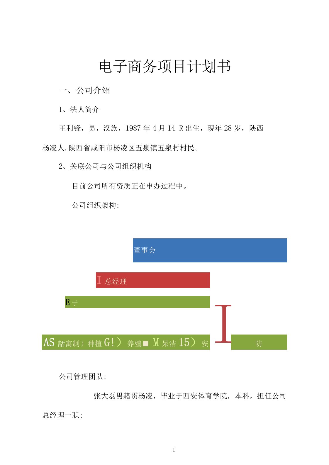 电商项目计划书