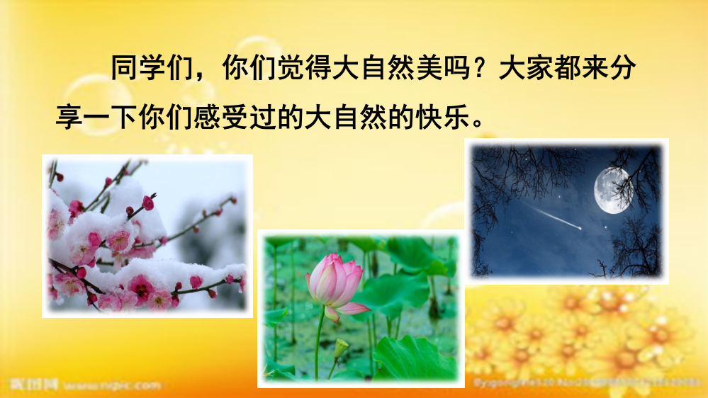 金色的草地(三年级上册)-PPT