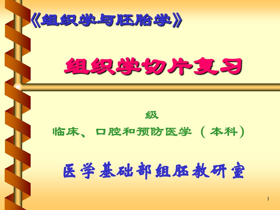 医学组织学与胚胎学切片复习课件