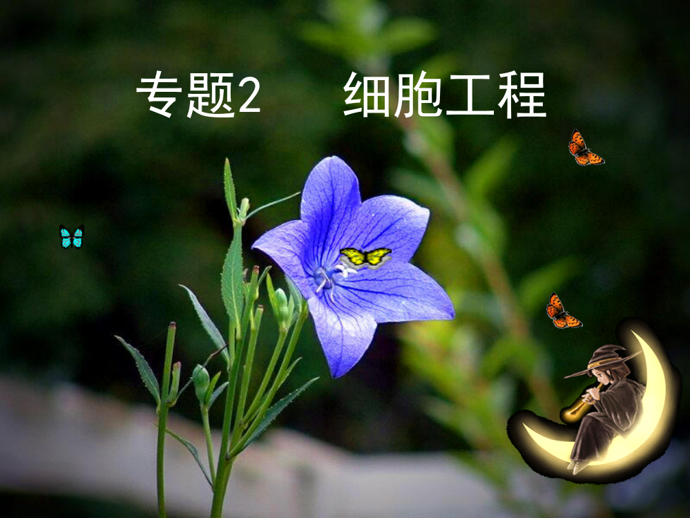 植物细胞工1程