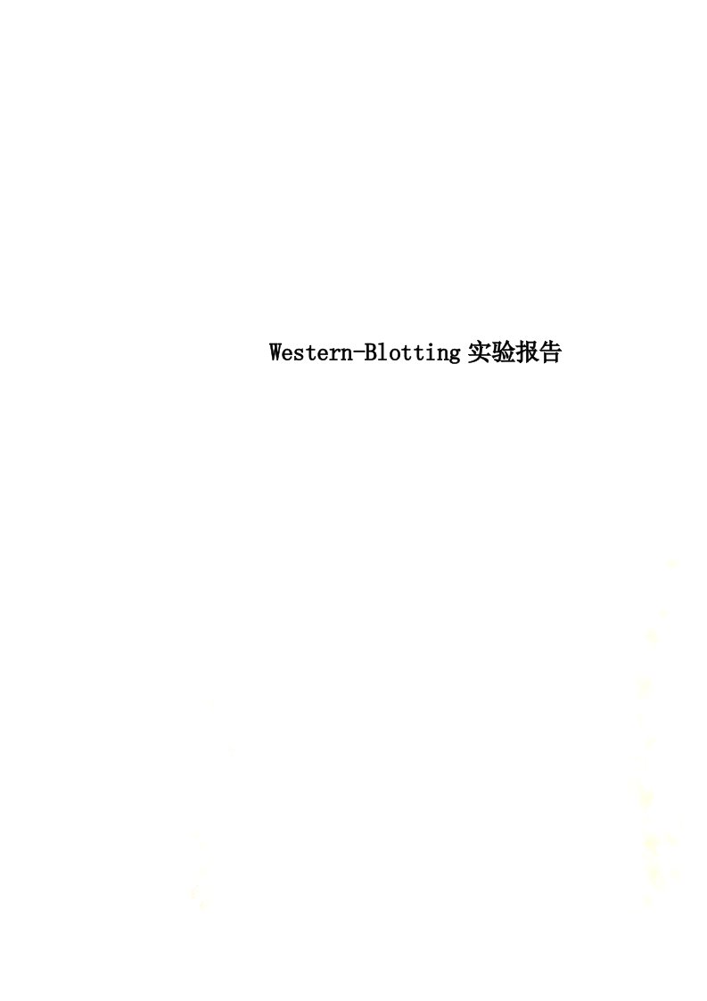 western-blotting实验报告