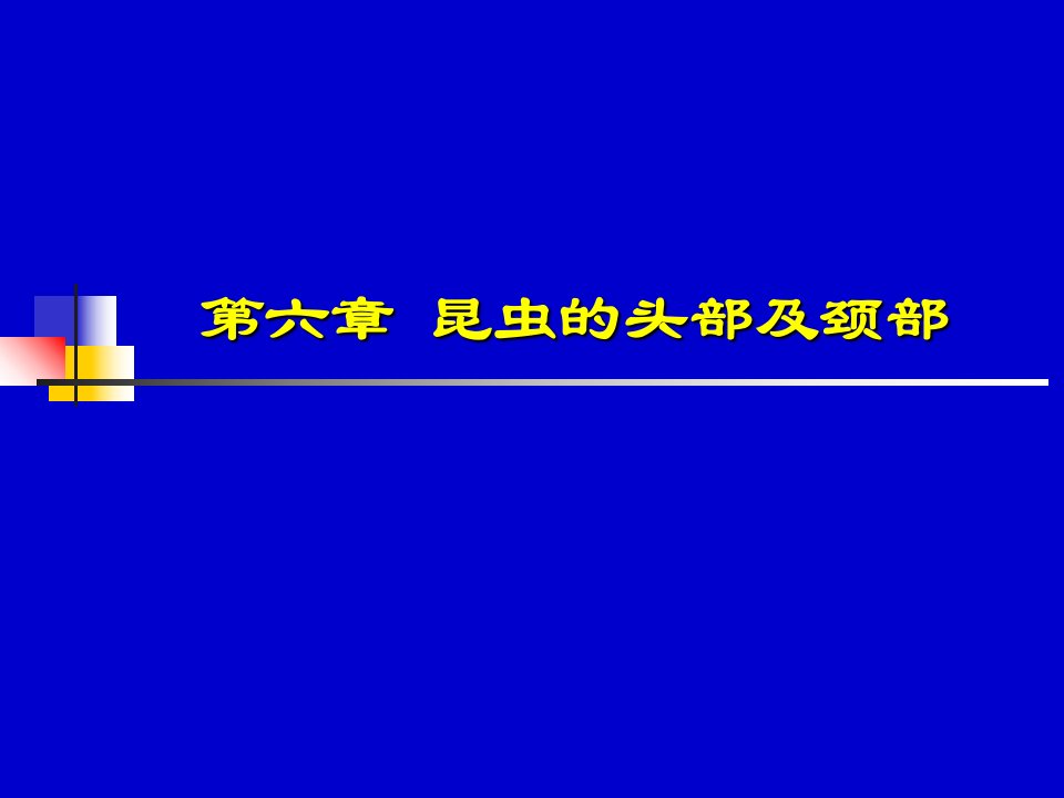 昆虫知识昆虫的头部及颈部ppt课件