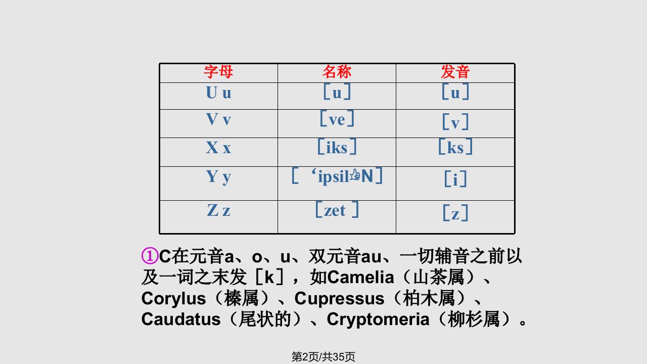 植物拉丁文学习