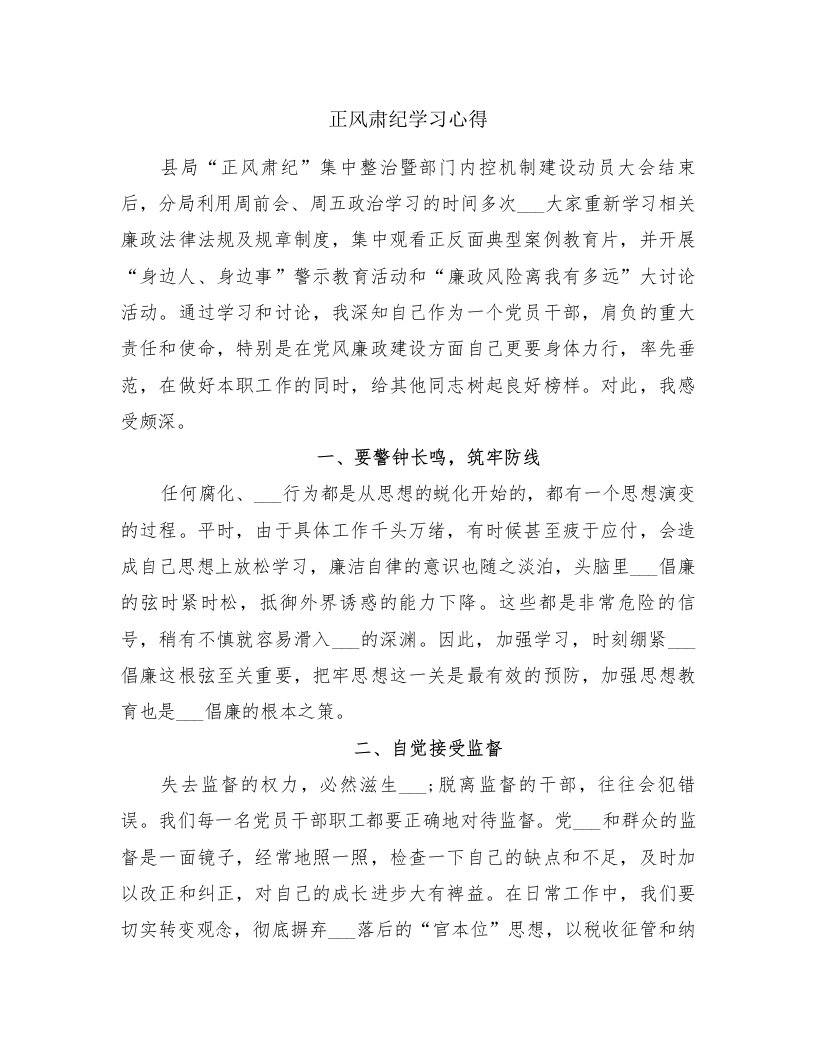 正风肃纪学习心得