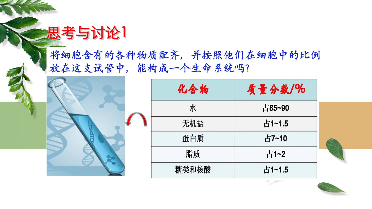 细胞膜系统的边界