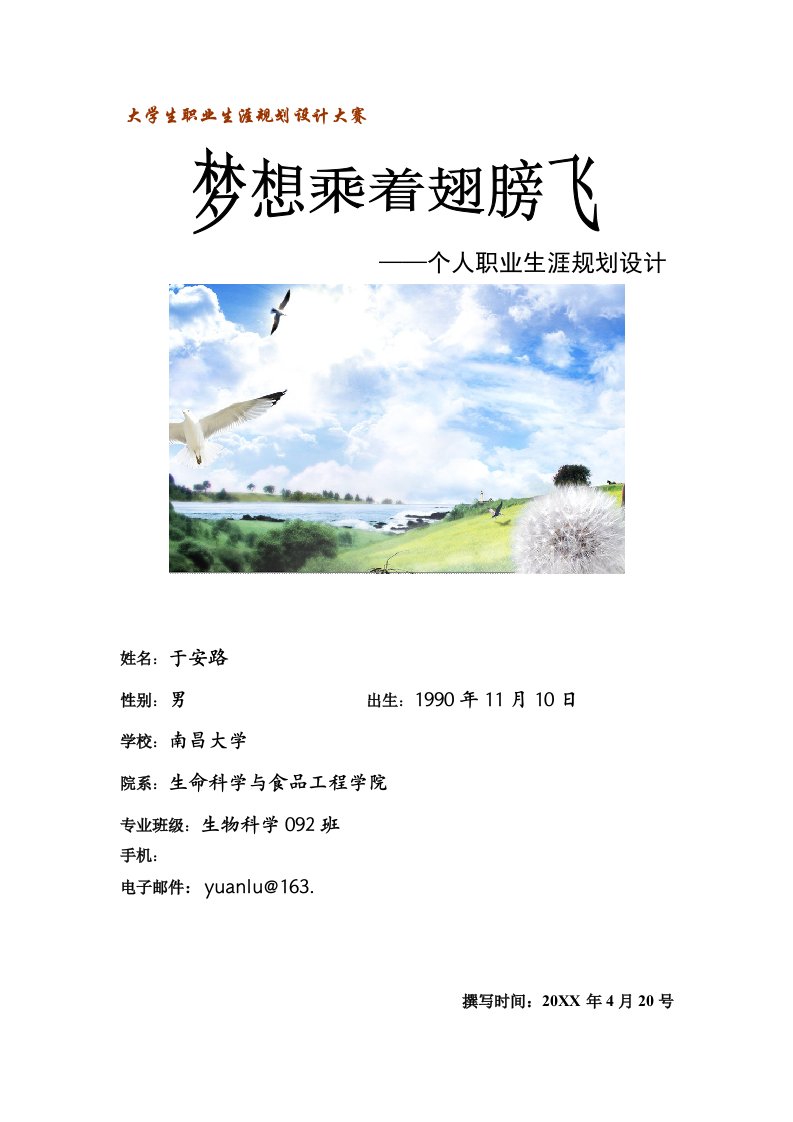 职业规划-大学生职业生涯规划设计大赛