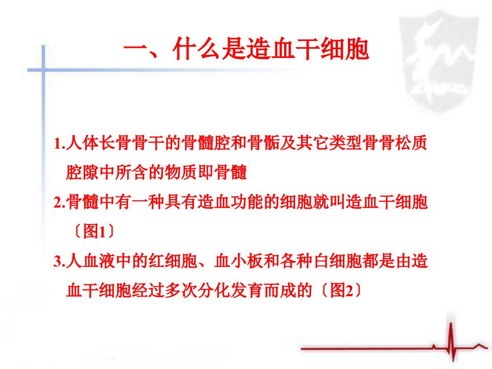 造血干细胞移植与捐献课件