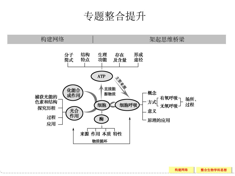 专题二细胞的代谢整合提升