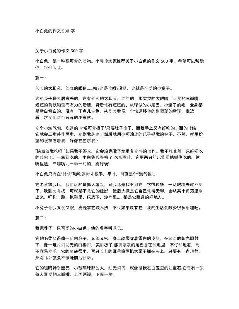 小白兔的作文500字