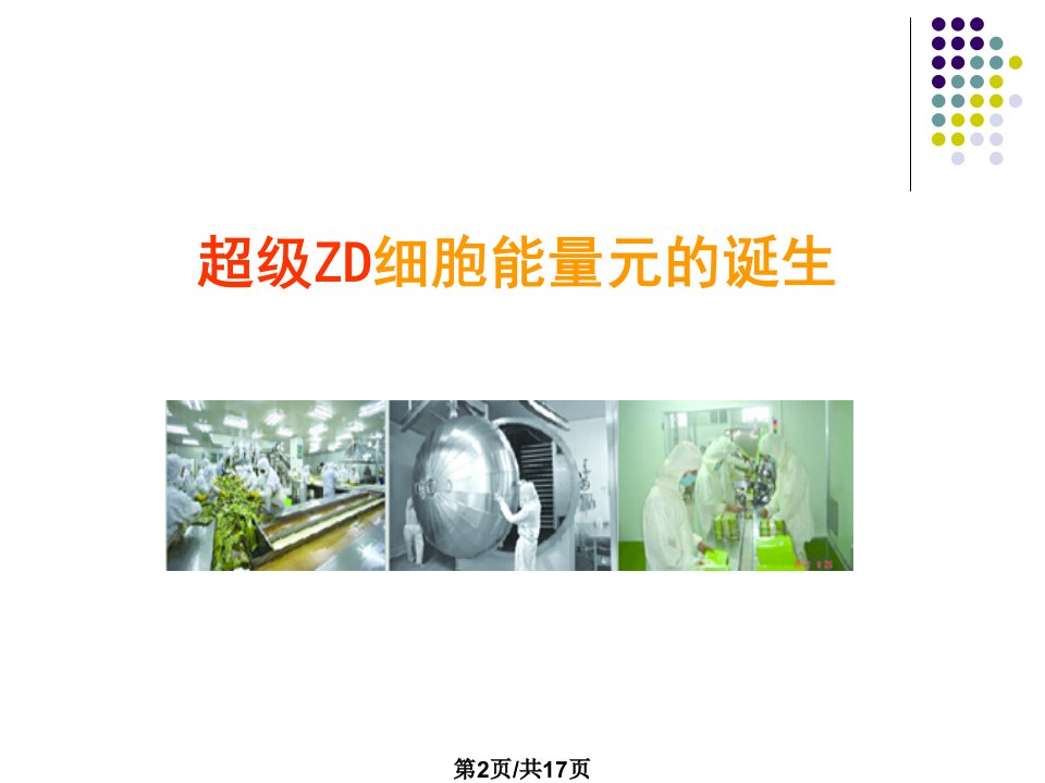 超级ZD汇总学习