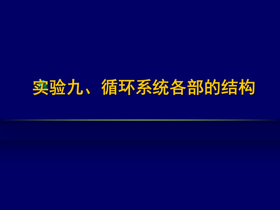 实验九循环系统各部的结构