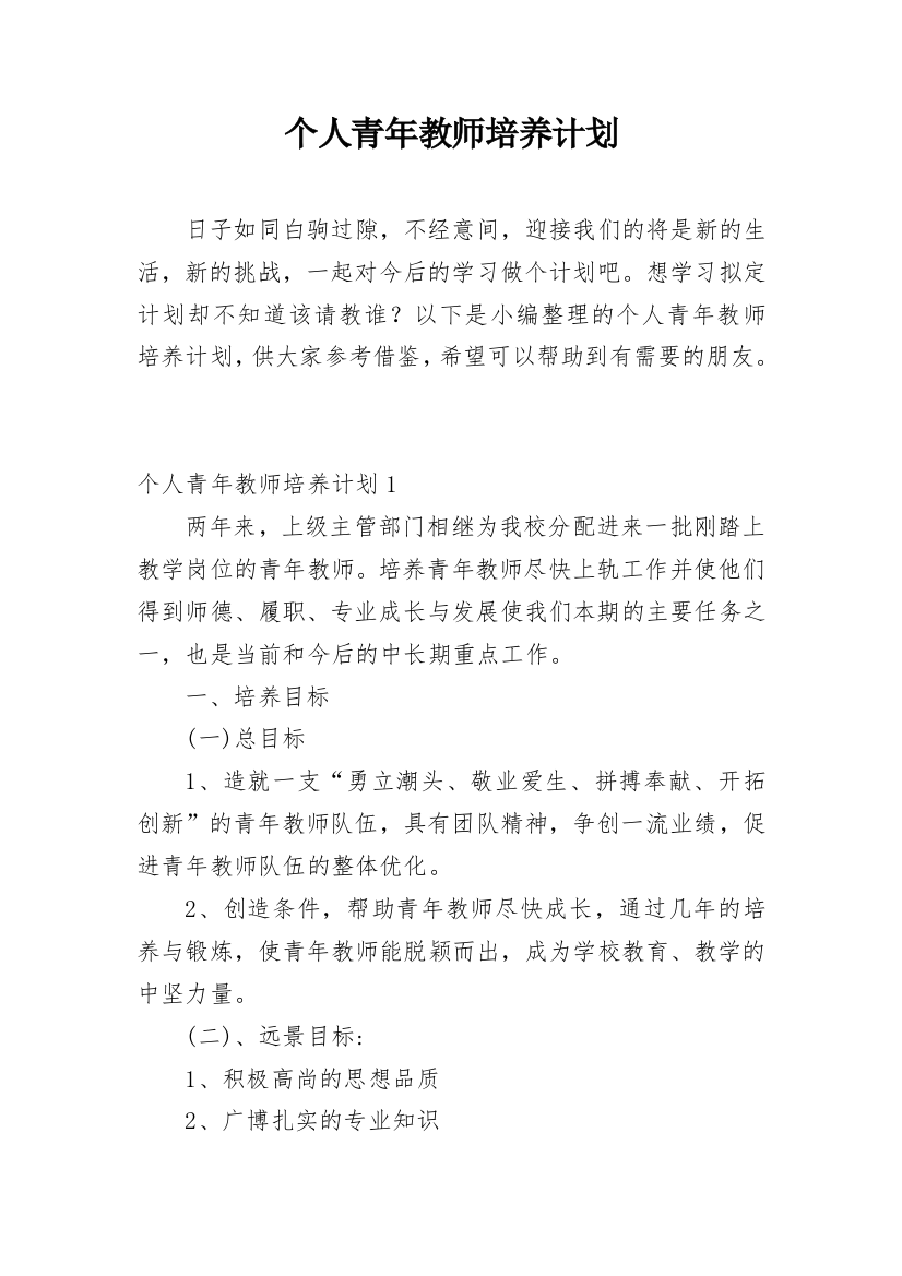 个人青年教师培养计划