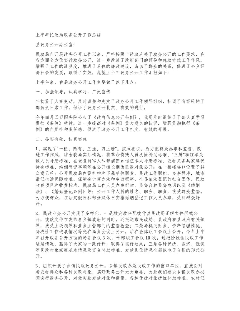 上半年民政局政务公开工作总结