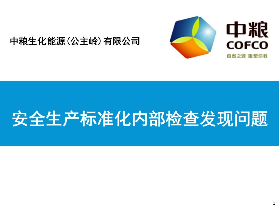 安全生产标准化内部检查发现问题