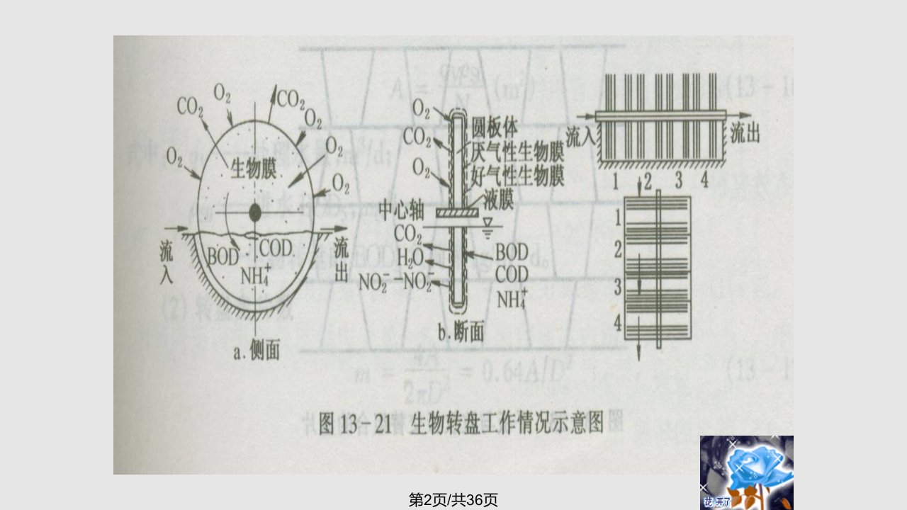 水污染控制工程生物转盘