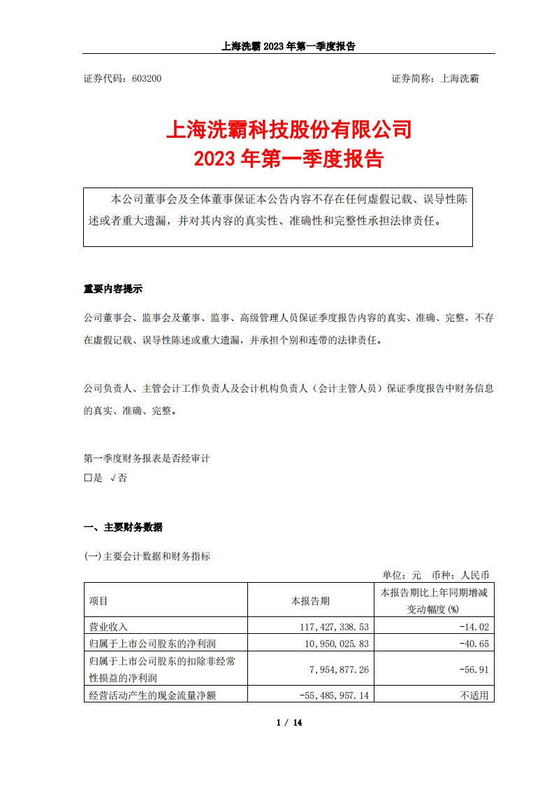 上交所-上海洗霸科技股份有限公司2023年第一季度报告-20230428