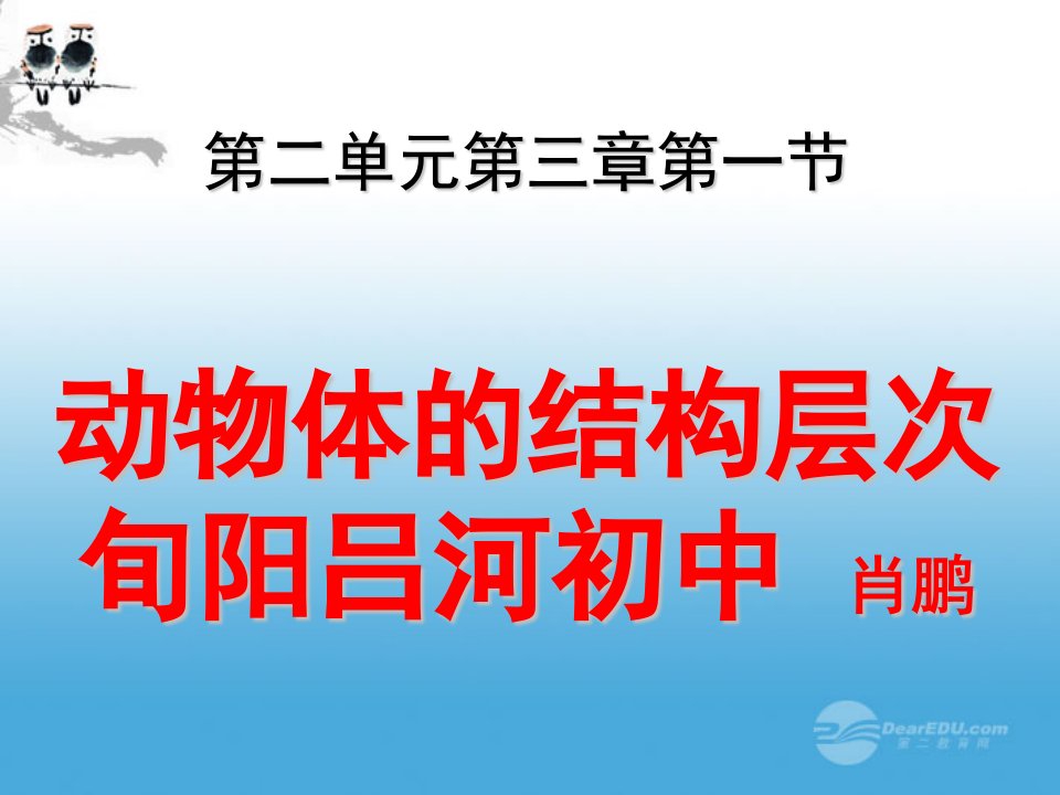 七年级生物上册2.3.1《动物体的结构层次》课件人教新课标版新