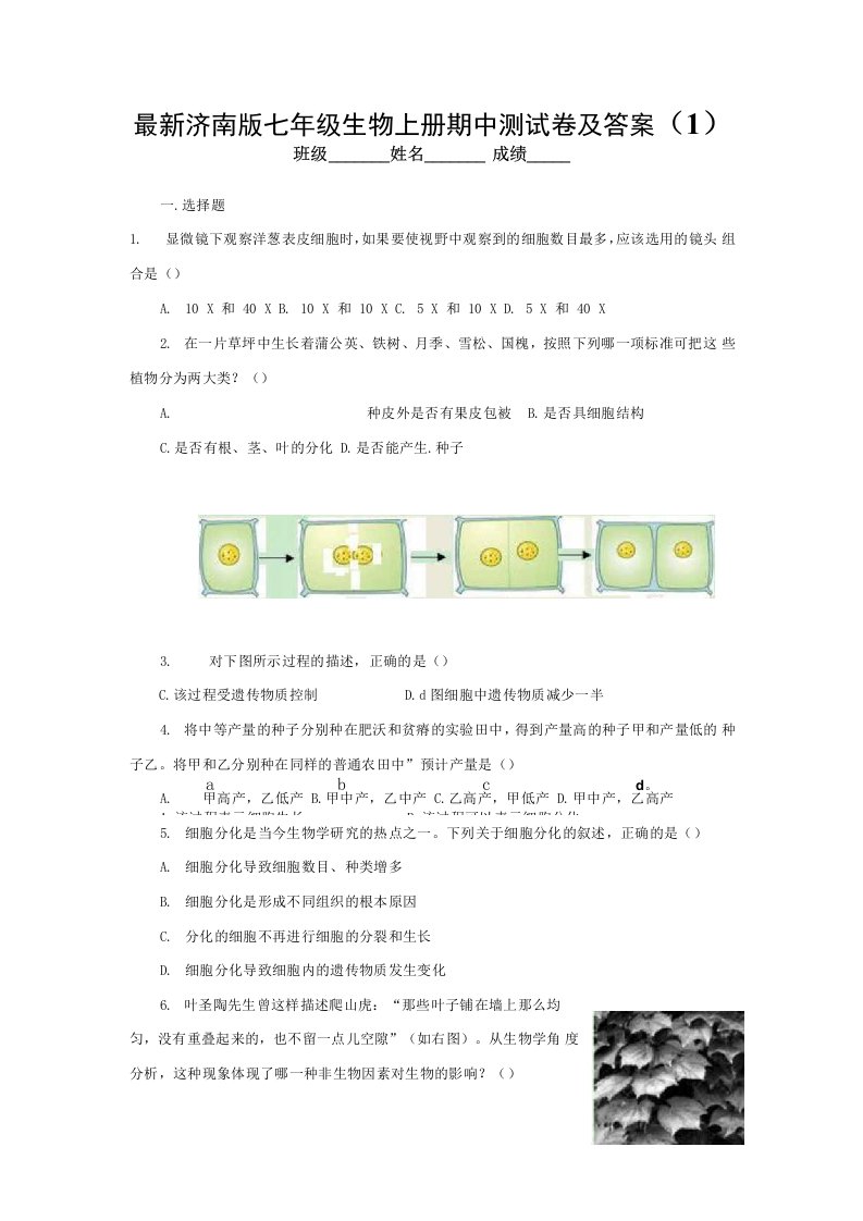 济南版七年级上册生物期中测试卷及答案2套