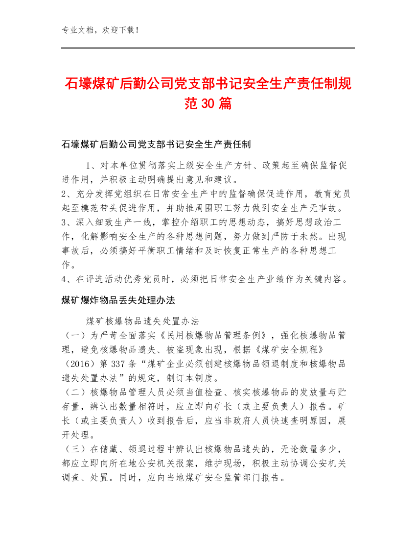 石壕煤矿后勤公司党支部书记安全生产责任制规范30篇