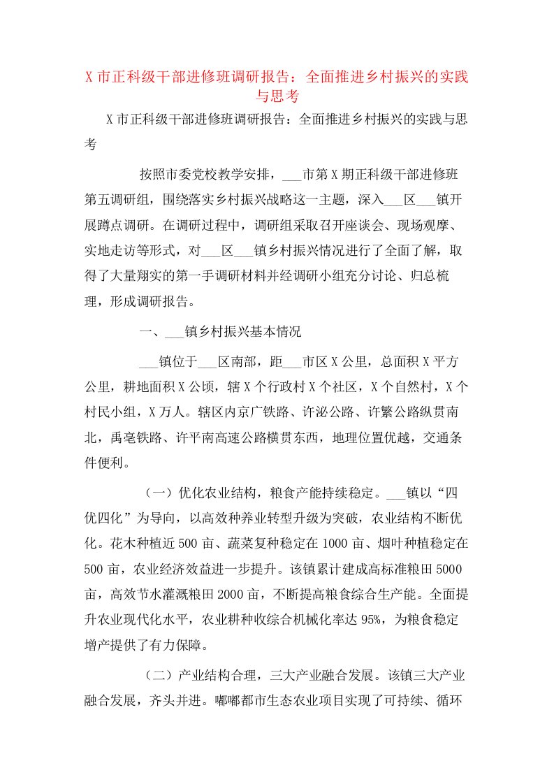 X市正科级干部进修班调研报告：全面推进乡村振兴的实践与思考