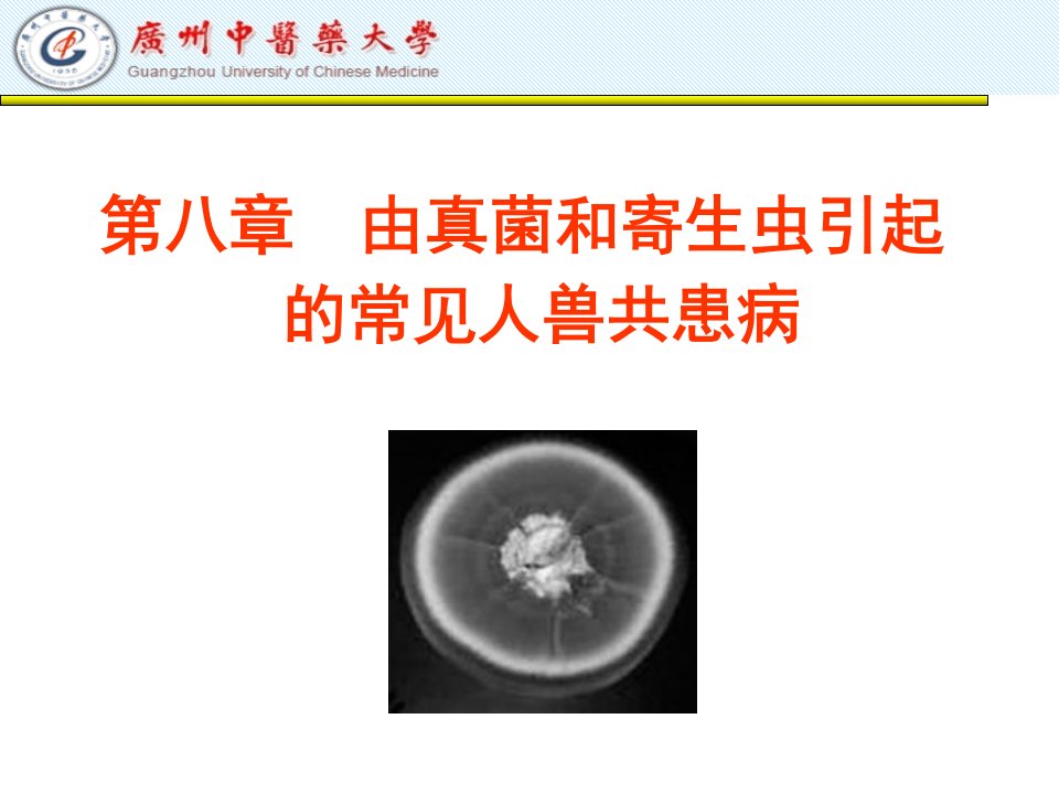 第八章由真菌和寄生虫引起的常见人兽共患病