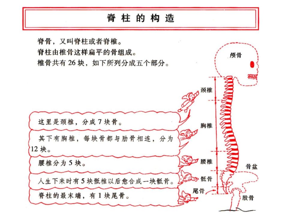 颈椎病康复保健操课件