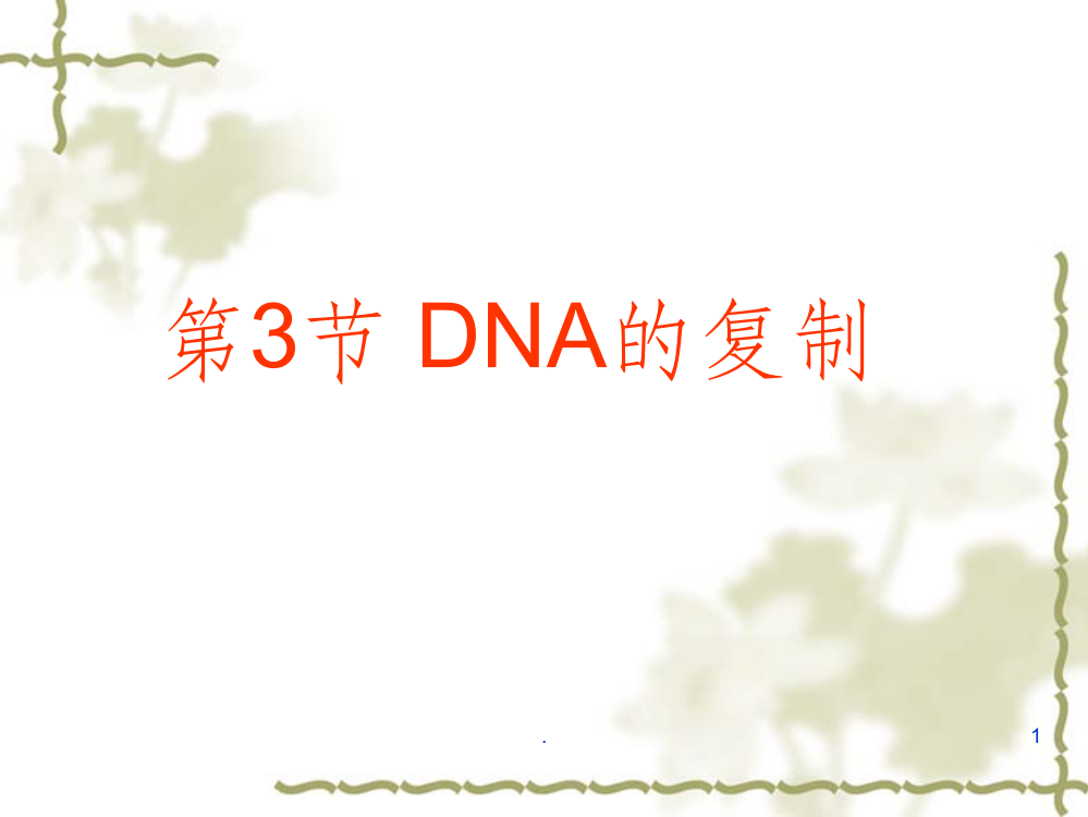 DNA分子的复制1精58263ppt课件