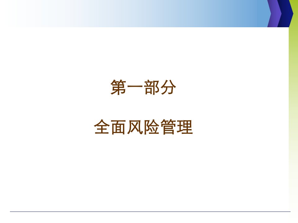 项目风险管理资料