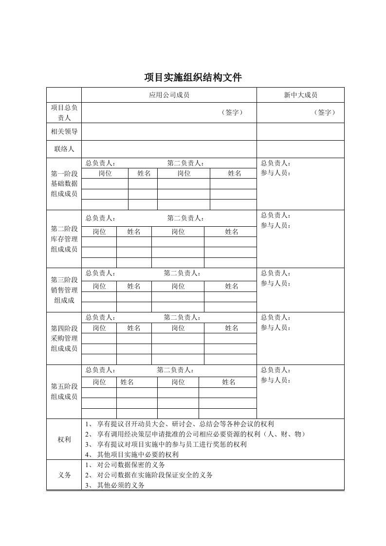 项目实施组织结构表格