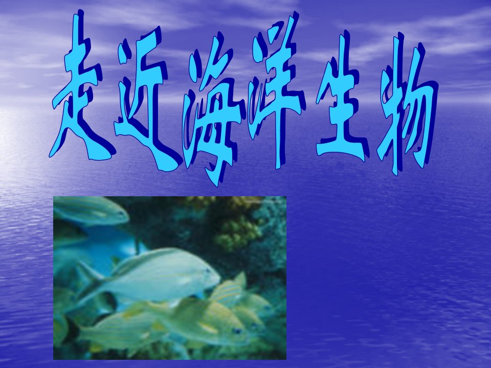 走近海洋生物