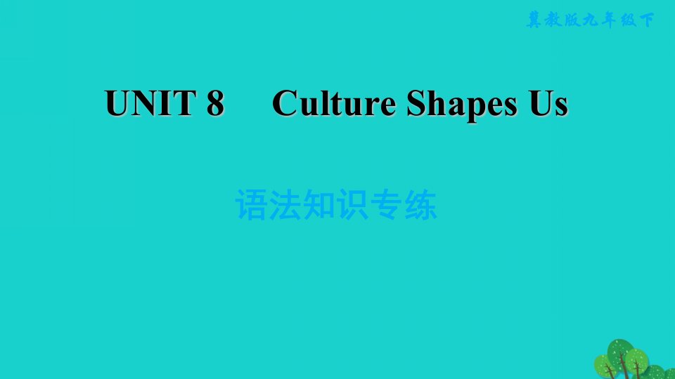 2022九年级英语下册Unit8CultureShapesUs语法知识专练习题课件新版冀教版