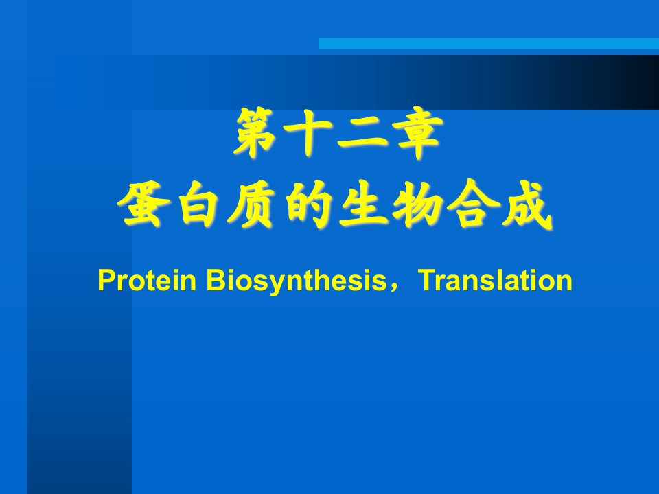 《生物化学课件翻译》PPT课件