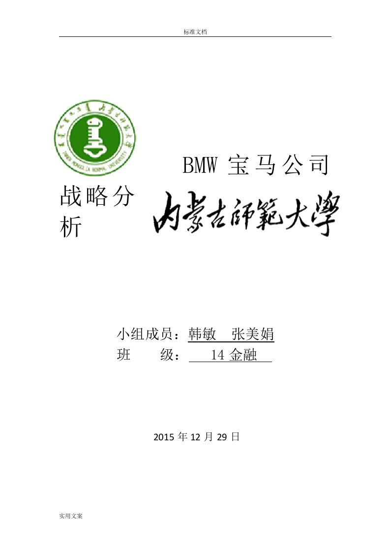 bmw宝马公司管理系统战略分析报告